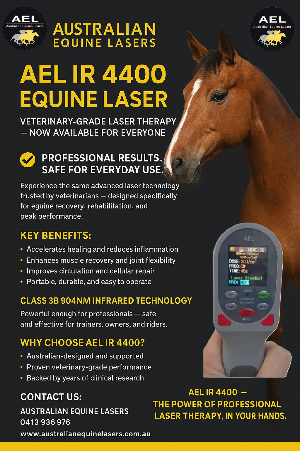 Class 3B laser for horses - VetLaser 3000